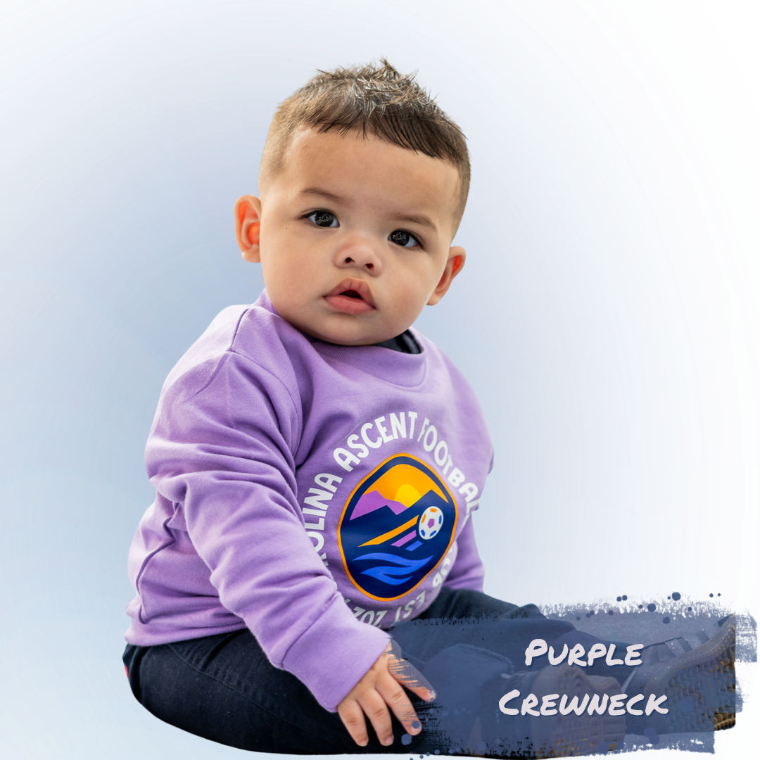 Circle Logo Crewneck (Purple) Toddler