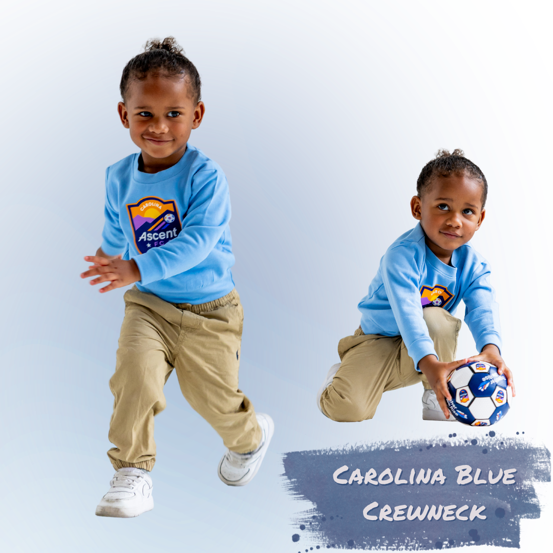 Primary Logo Crewneck (Carolina Blue) Toddler